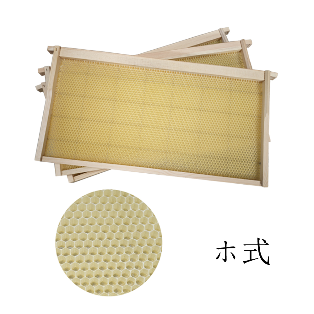 半盛り-ホ-1000.jpg